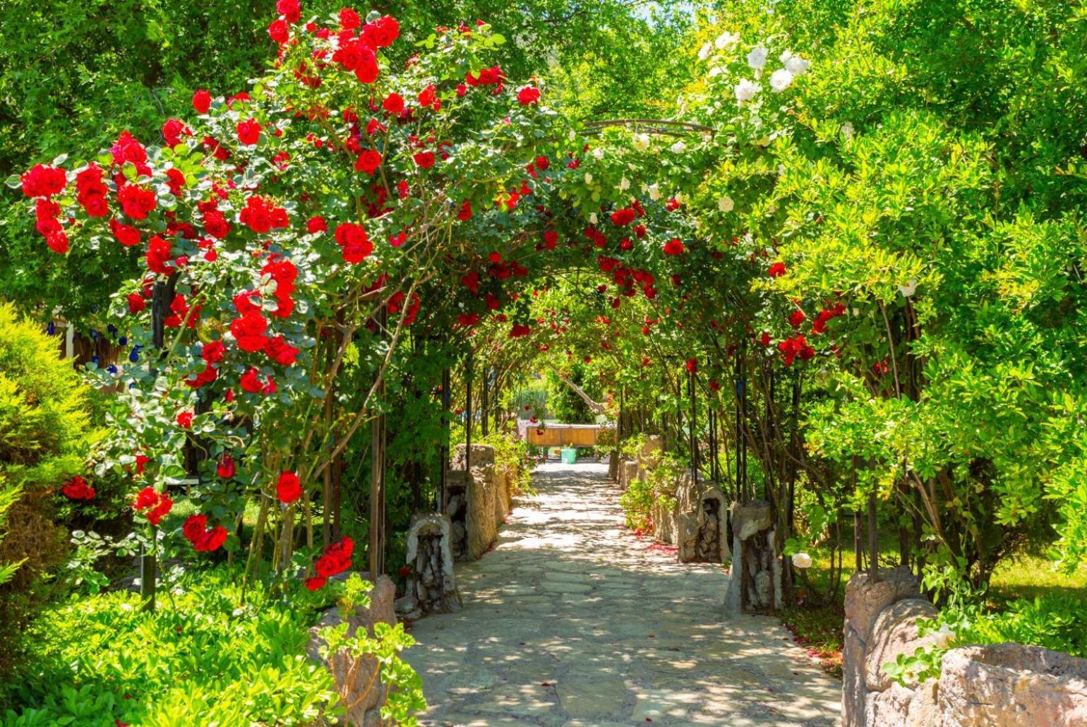 מוגלה Villa Aysel Paradise מראה חיצוני תמונה